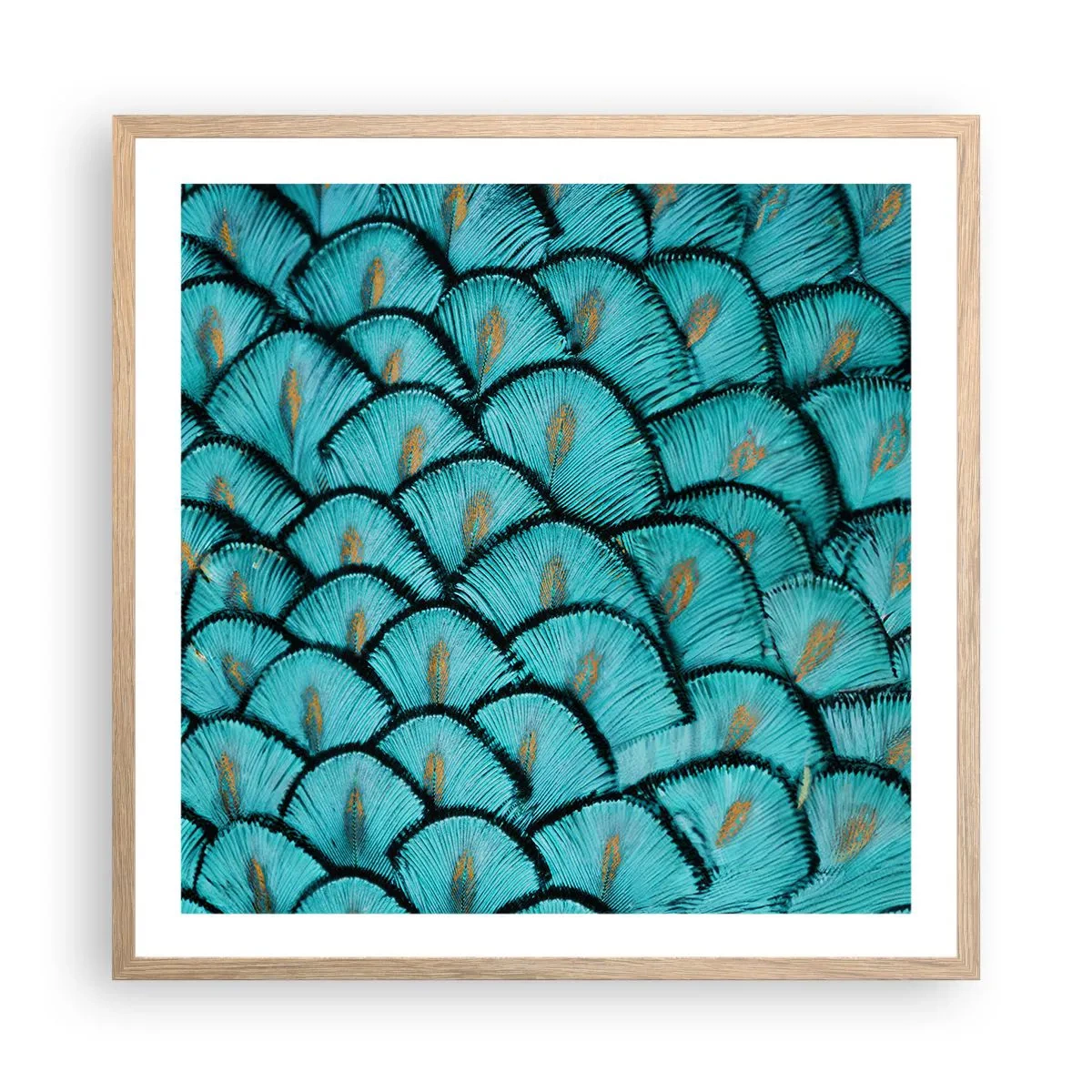 Plagát v ráme zo svetlého duba - Veľká slávnosť peria - 60x60 cm