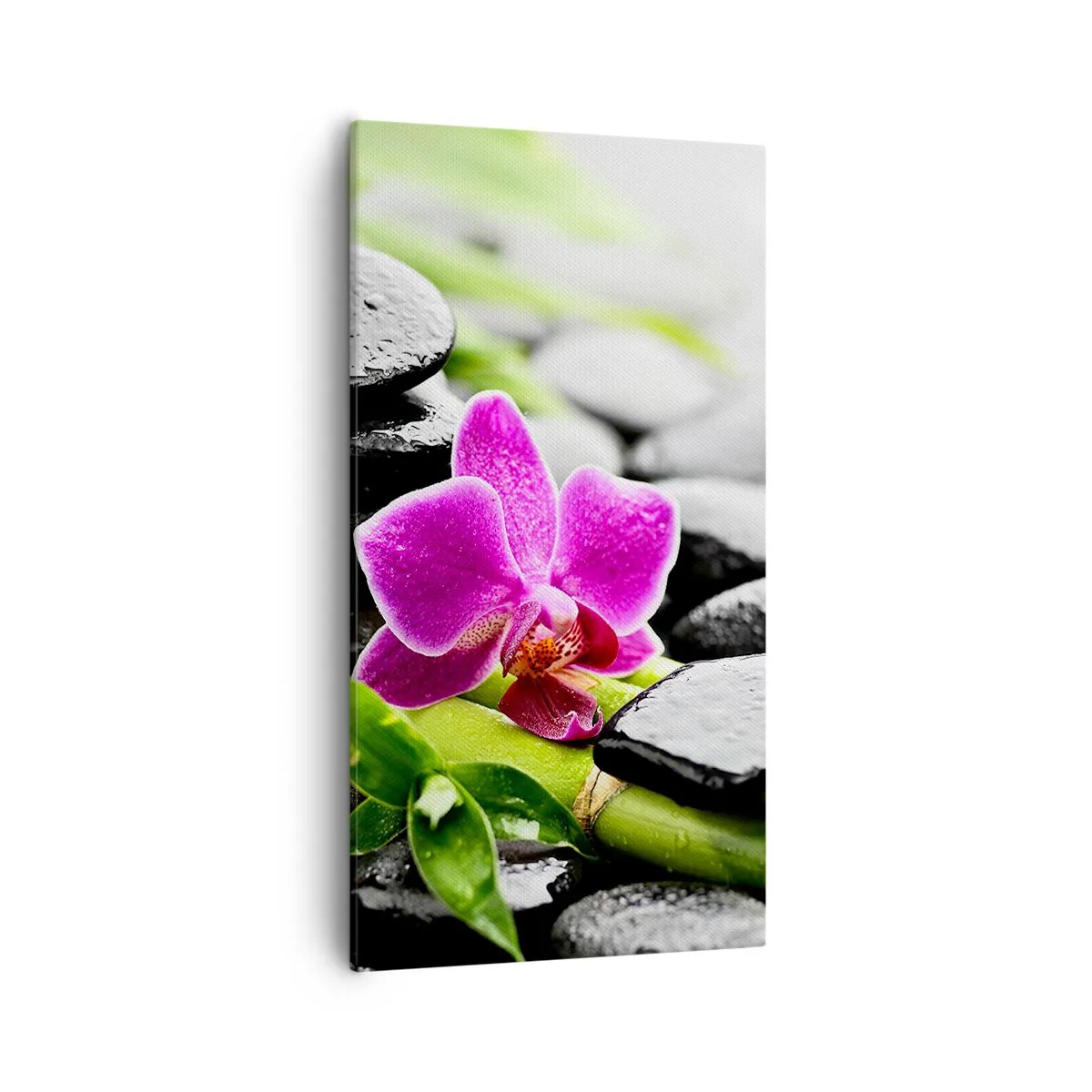 Obraz na plátne - V pokojnej rovnováhe - 55x100 cm