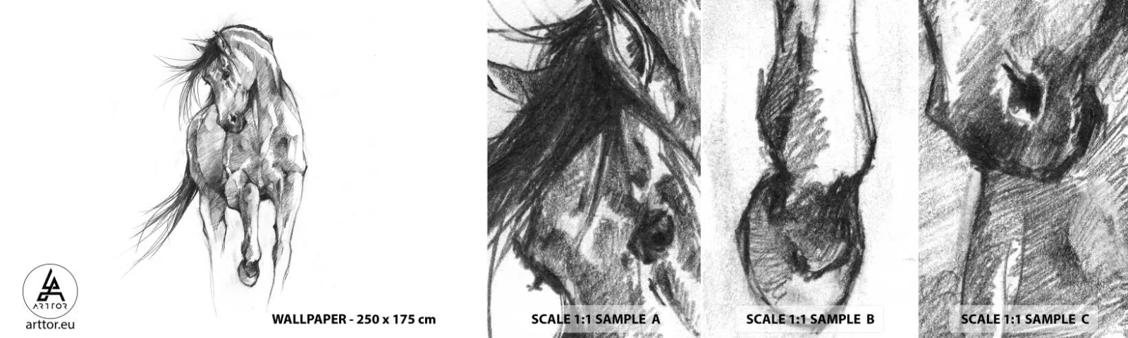 Vzorka samolepiacej fototapety Deluxe Sticker - V ladnom kluse - Kôň, Grafika, Zvieratá - 100x30 cm