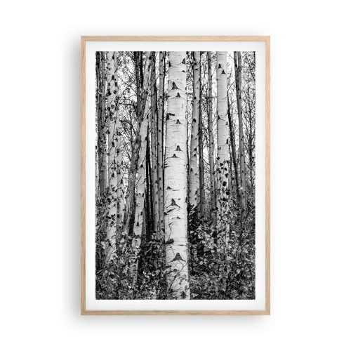 Plagát v ráme zo svetlého duba - Brezová kolonáda - 61x91 cm