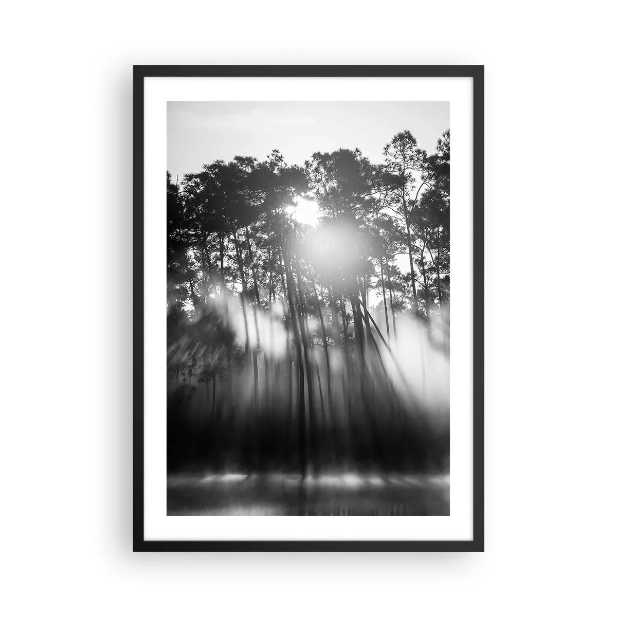 Plagát v čiernom ráme - Čiernobiela lesná scéna so slnečnými lúčmi v hmle - 50x70cm - Nezastaviteľné slnko - Moderná nástenná dekorácia do obývacej izby a spálne ARTTOR