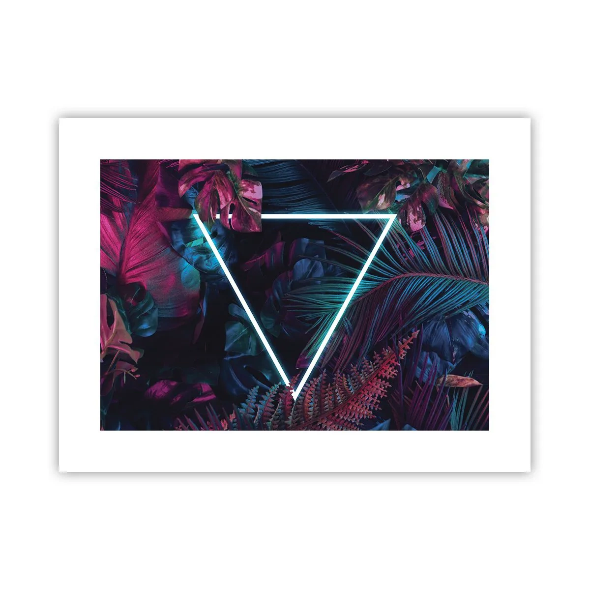 Plagát - Záhrada v disco štýle - 40x30 cm