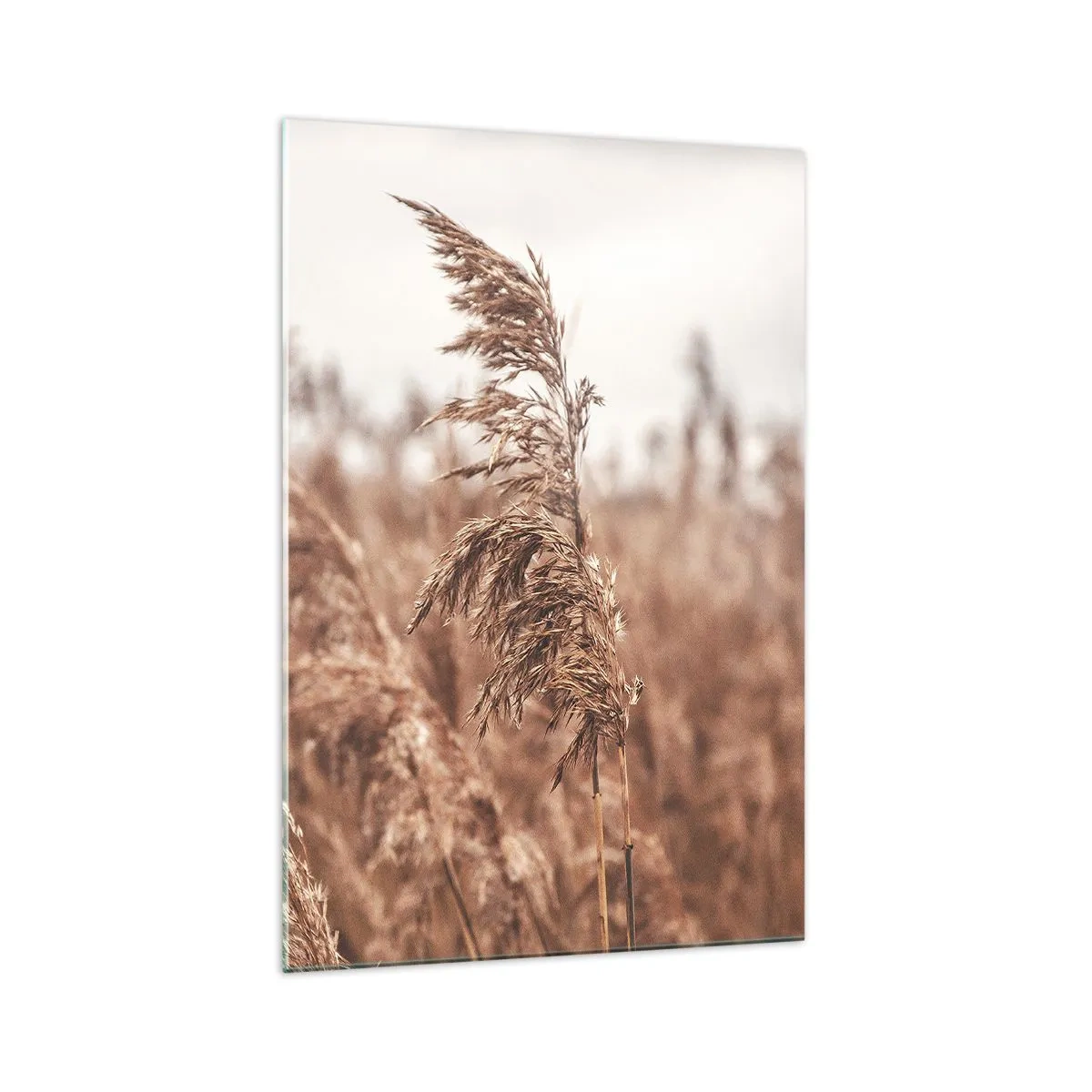 Obraz na skle - Na poliach už je jeseň - 70x100 cm