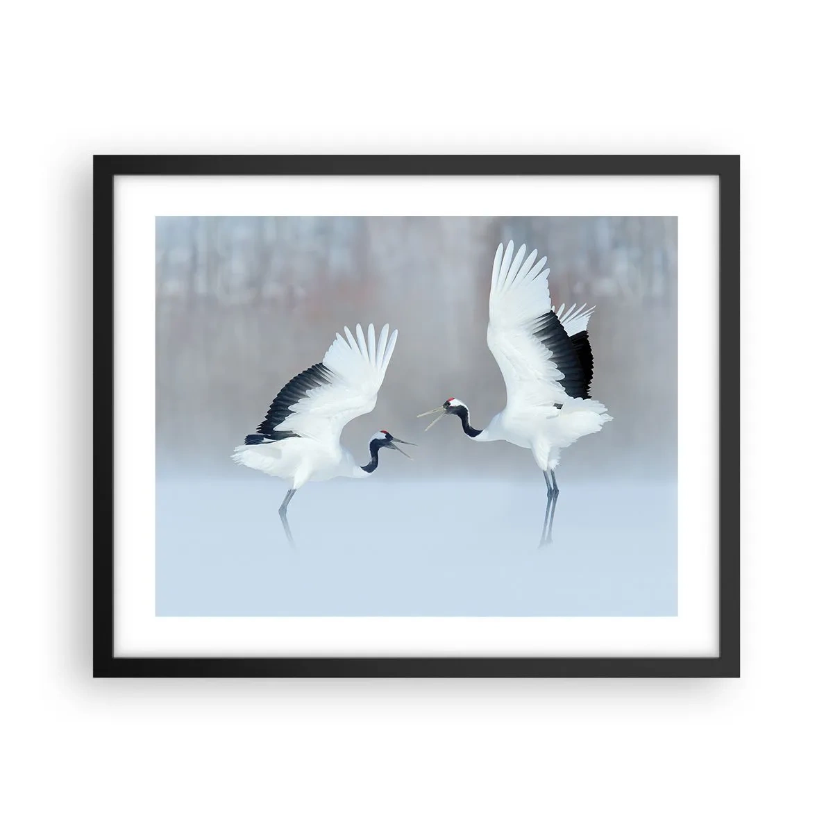 Plagát v čiernom ráme - Tanec v hmle - 50x40 cm