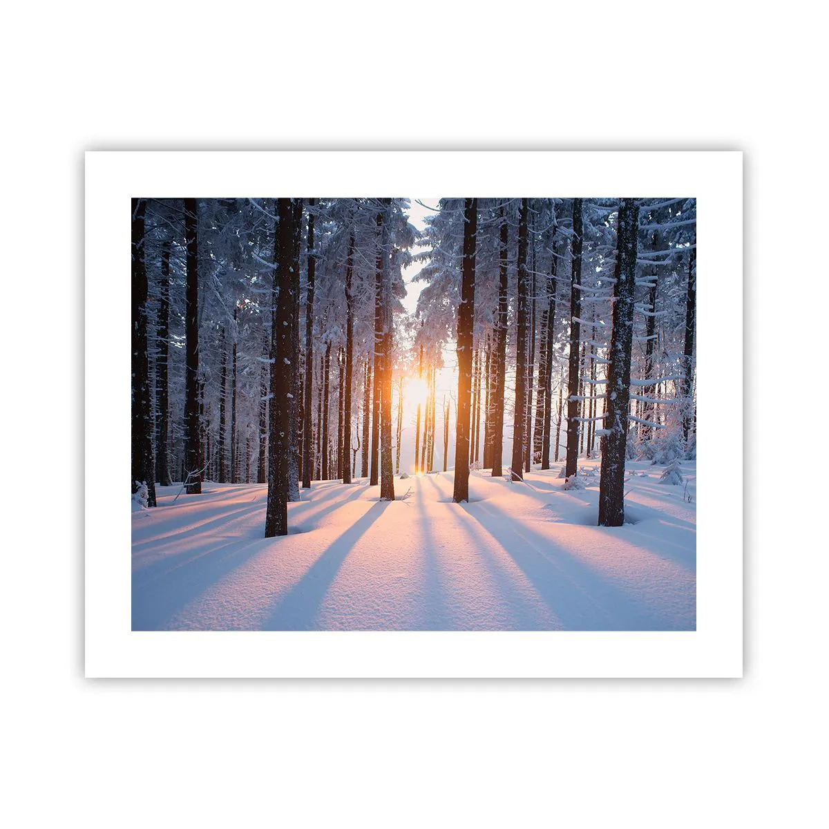 Plagát - Jasne čierne na bielom - 50x40 cm