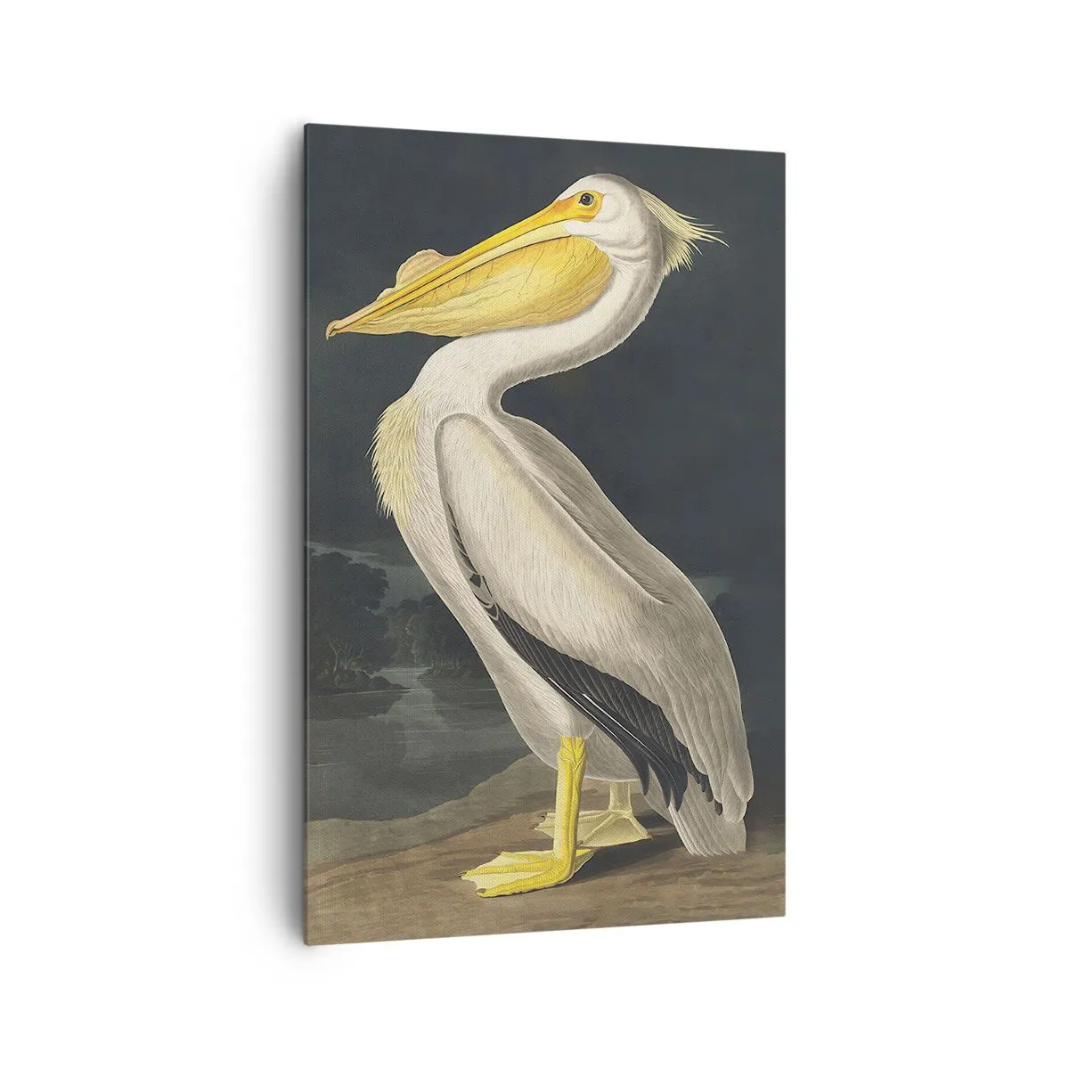 Obraz na plátne - Plný hrdosti - 80x120 cm