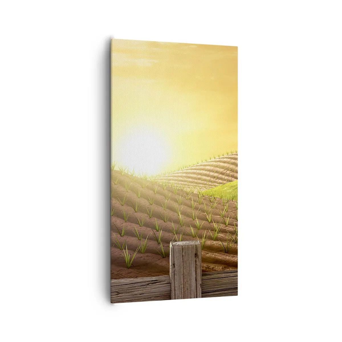 Obraz na plátne - Farma ako z rozprávky - 65x120 cm