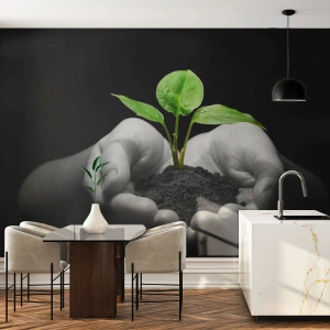 Fototapeta Standard Eco - Zelená sadenica v rukách na čiernom pozadí - 100x70cm - Milujem prírodu, chránim ju - Moderná nástenná dekorácia do obývacej izby a spálne ARTTOR