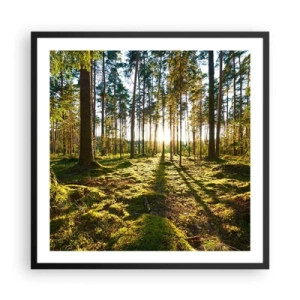 Plagát v čiernom ráme - …Za siedmimi lesmi - 60x60 cm