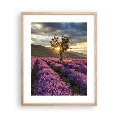 Plagát v ráme zo svetlého duba - Aróma vo fialovej - 40x50 cm
