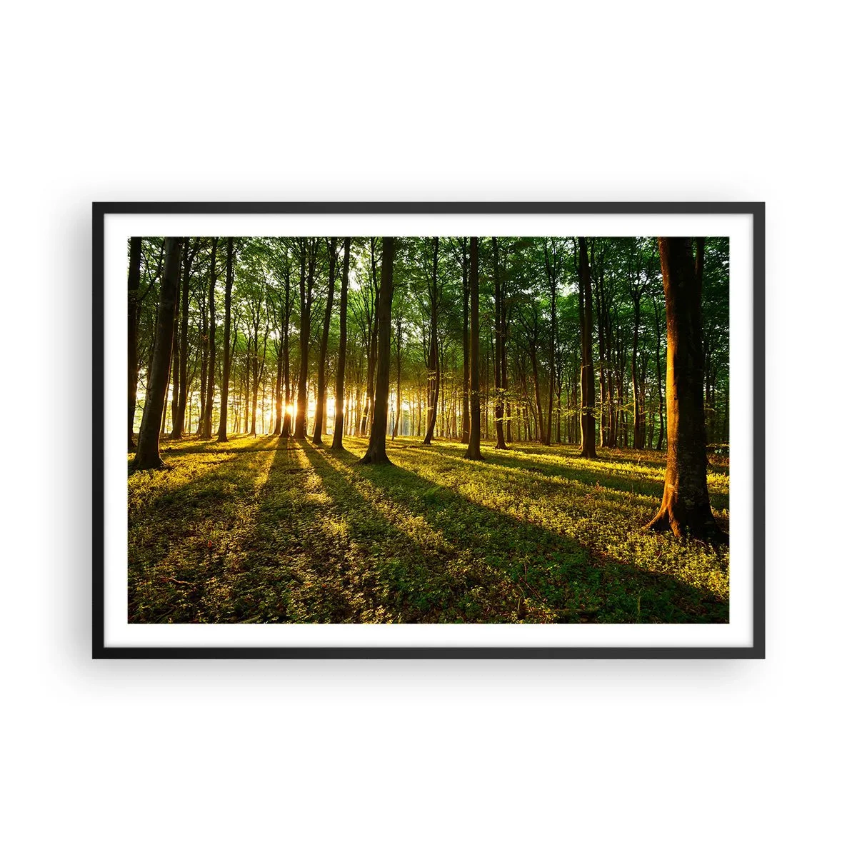 Plagát v čiernom ráme - Fotografie všetkých jarí - 91x61 cm