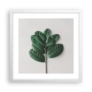 Plagát v bielom ráme - Kresba samotnej prírody - 40x40 cm
