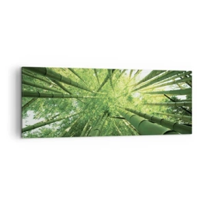 Obraz na plátne - V bambusovom háji - 140x50 cm