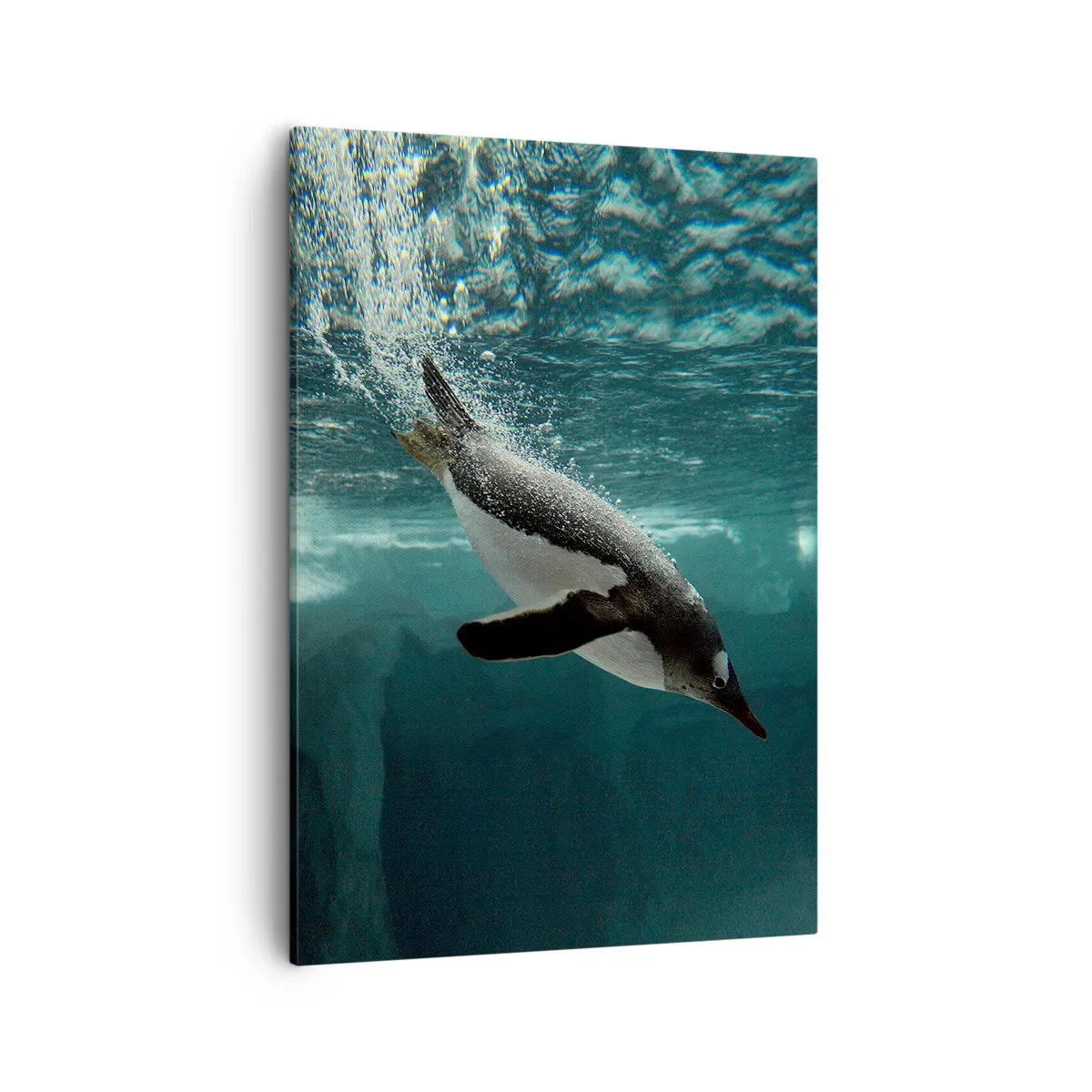 Obraz na plátne - Vitajte v mojom svete - 50x70 cm