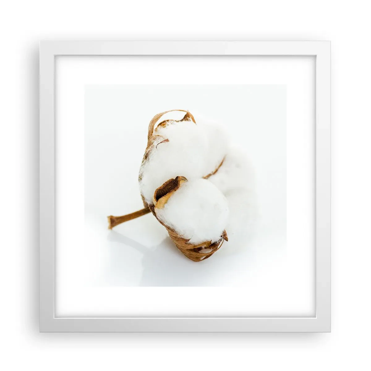 Plagát v bielom ráme - Mäkká od prírody - 30x30 cm