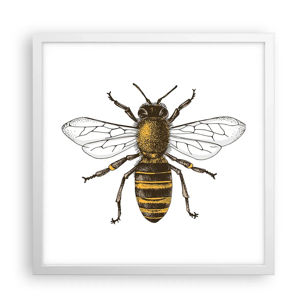 Plagát v bielom ráme - Krásna a dobrá - 40x40 cm