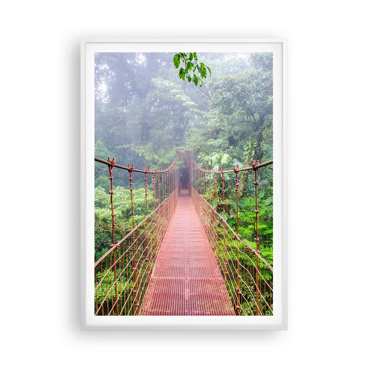 Plagát v bielom ráme - Zavesený nad korunami - 70x100 cm