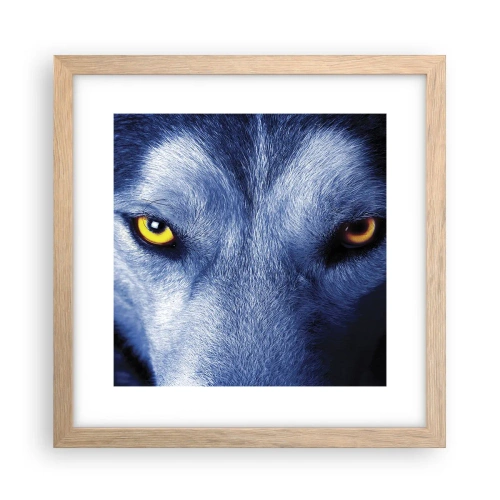 Plagát v ráme zo svetlého duba - Fascinujúci pohľad - 30x30 cm