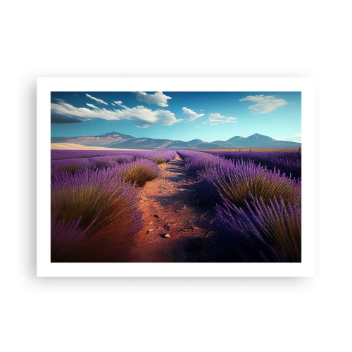Plagát - Voňavé polia - 70x50 cm