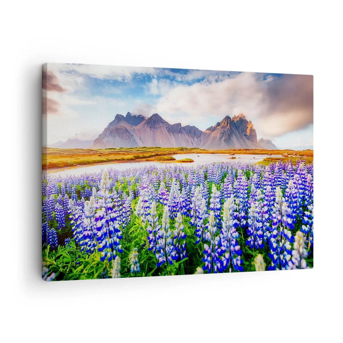 Obraz na plátne - Kvety v horskej krajine s malebnou oblohou - 70x50cm - Sila a prísnosť vedľa miernosti - Moderná nástenná dekorácia do obývacej izby a spálne ARTTOR