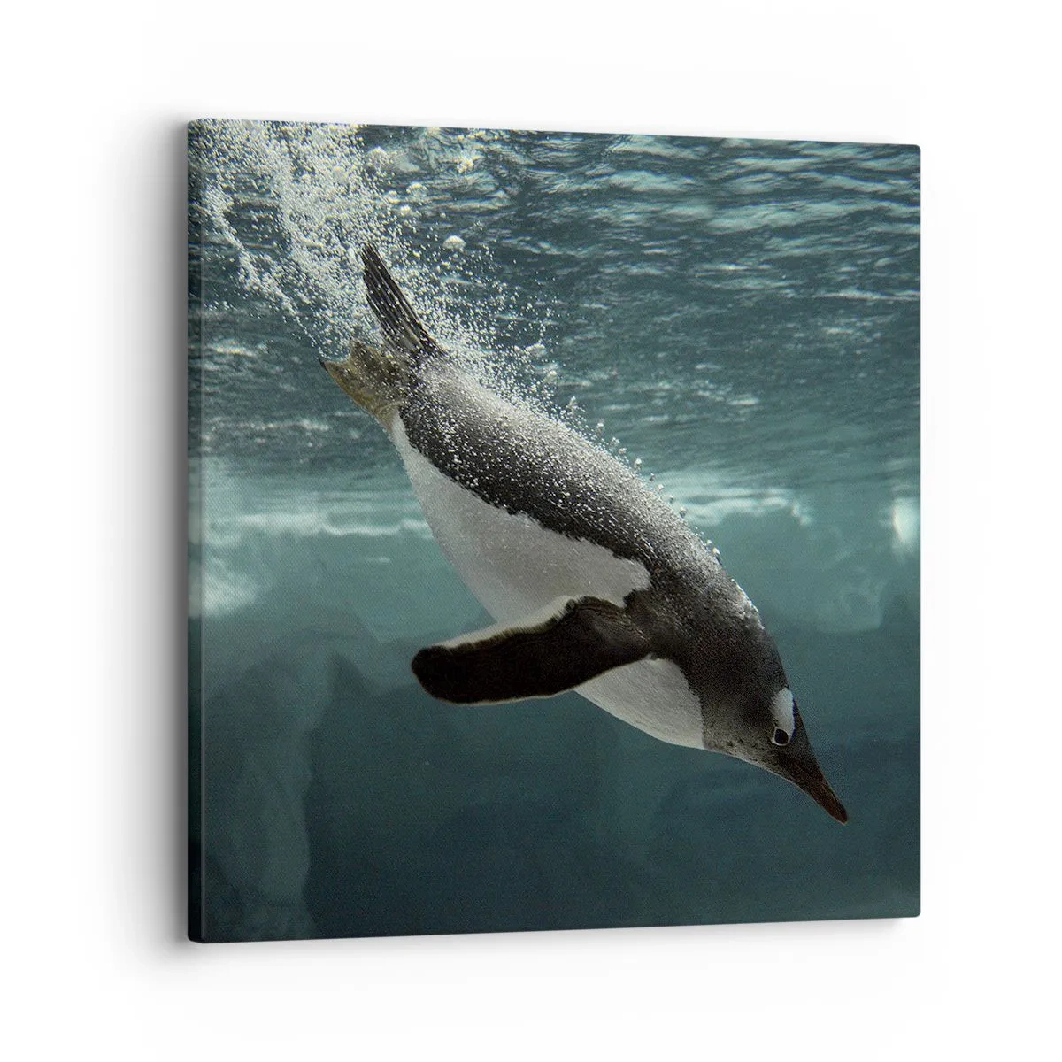 Obraz na plátne - Vitajte v mojom svete - 30x30 cm