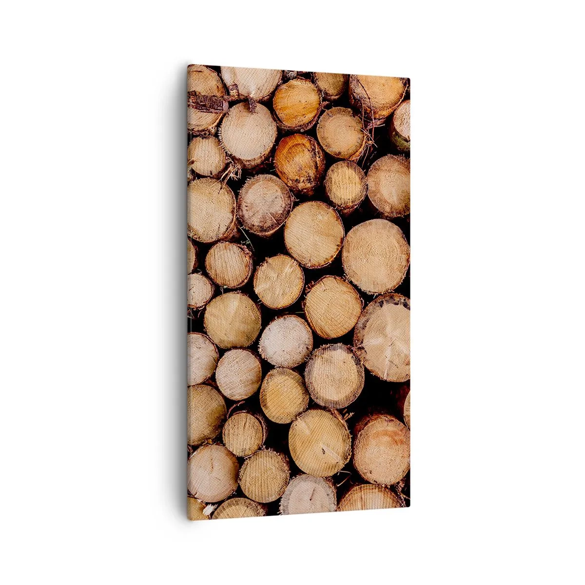 Obraz na plátne - Nový začiatok - 55x100 cm