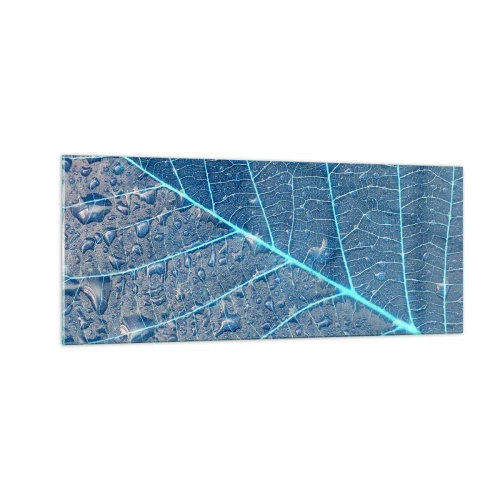 Obraz na skle - Modrý život - 100x40 cm