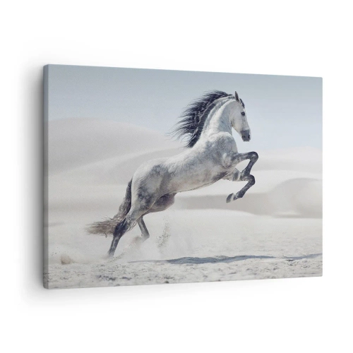 Obraz na plátne - Biely kôň cválajúci na pozadí púštnych dún - 70x50cm - Arabské knieža - Moderná nástenná dekorácia do obývacej izby a spálne ARTTOR