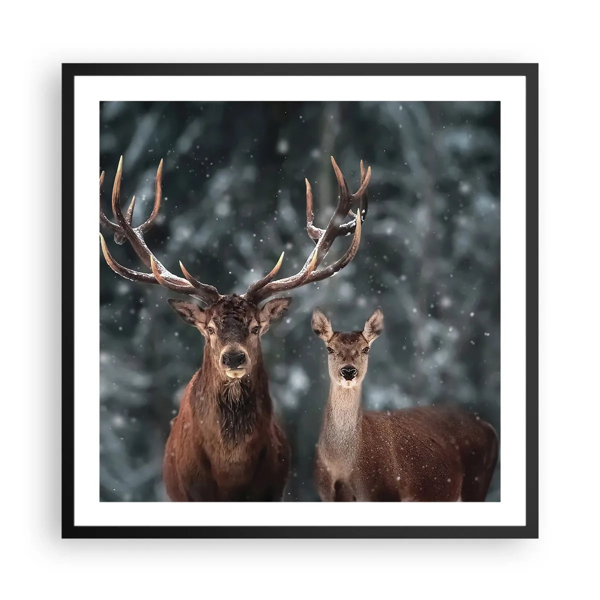 Plagát v čiernom ráme - Pán lesa so svojou ženou - 60x60 cm