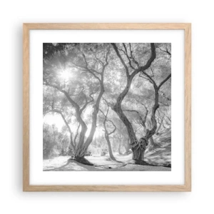Plagát v ráme zo svetlého duba - V olivovom háji - 40x40 cm