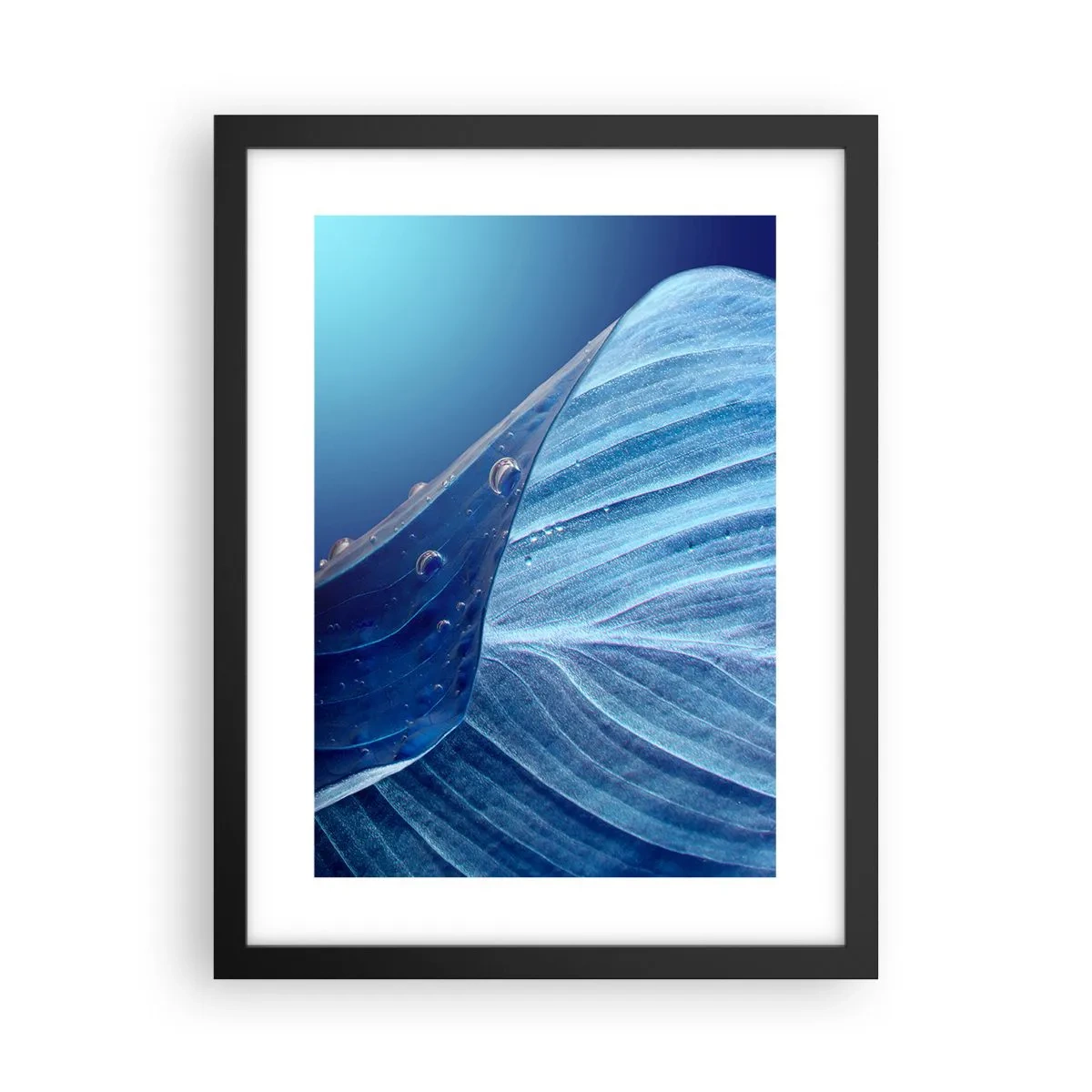 Plagát v čiernom ráme - Skryté kvapky modrej - 30x40 cm