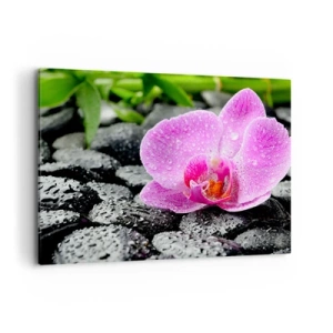 Obraz na plátne - Ako otvorené srdce - 100x70 cm