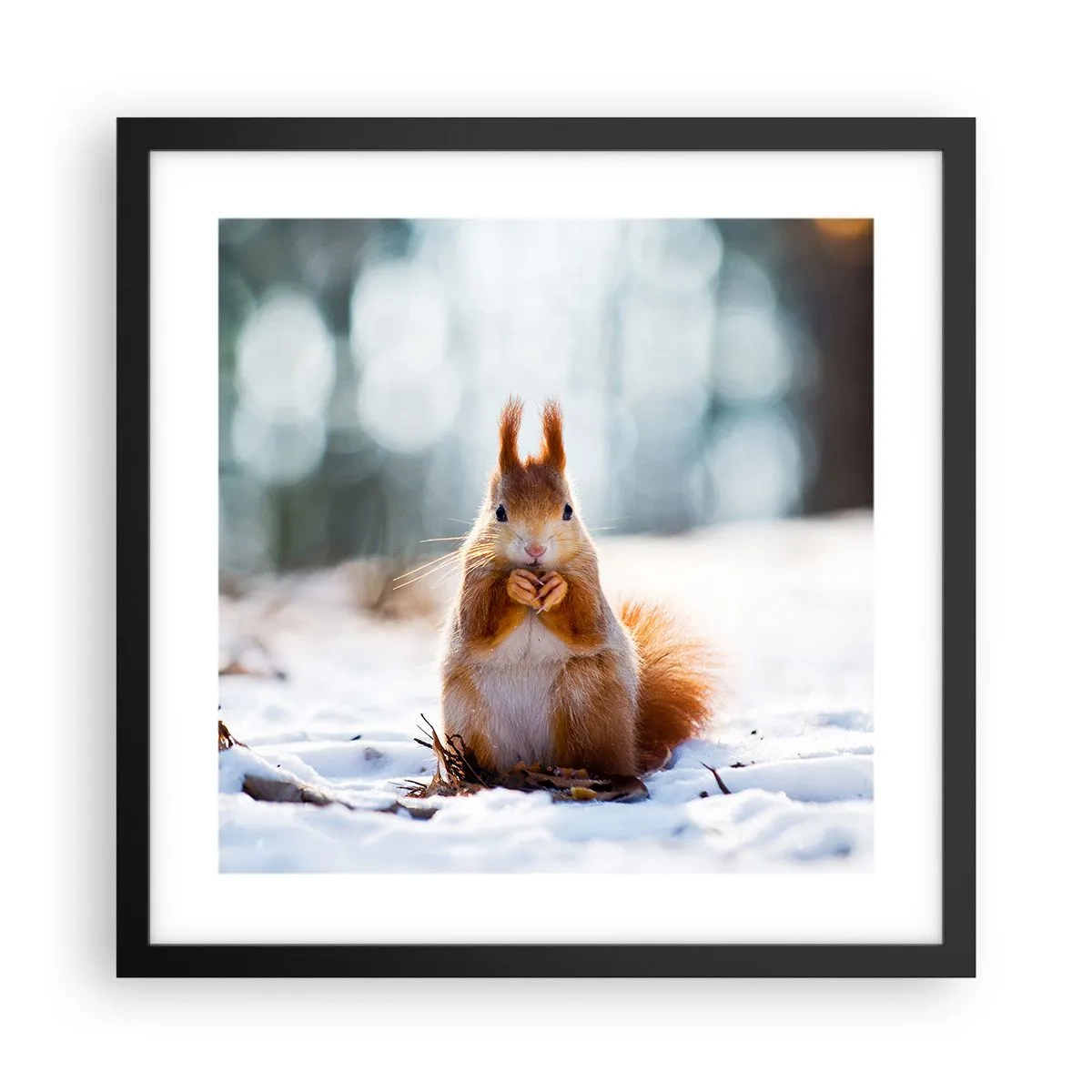 Plagát v čiernom ráme - Čo sa tak pozeráš? - 40x40 cm