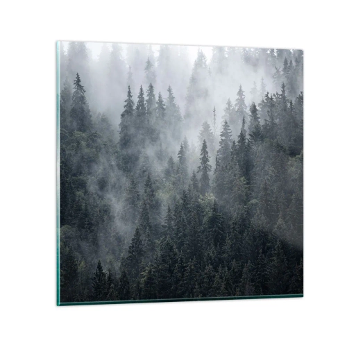 Obraz na skle - Lesné svitania - 60x60 cm