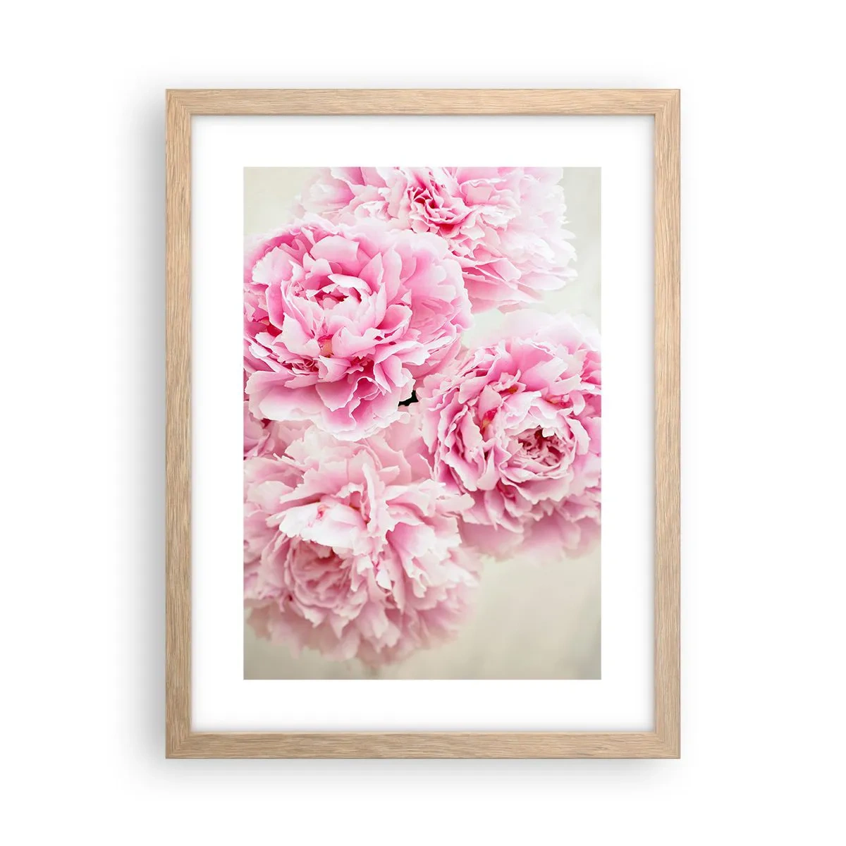 Plagát v ráme zo svetlého duba - V ružovom prepychu - 30x40 cm