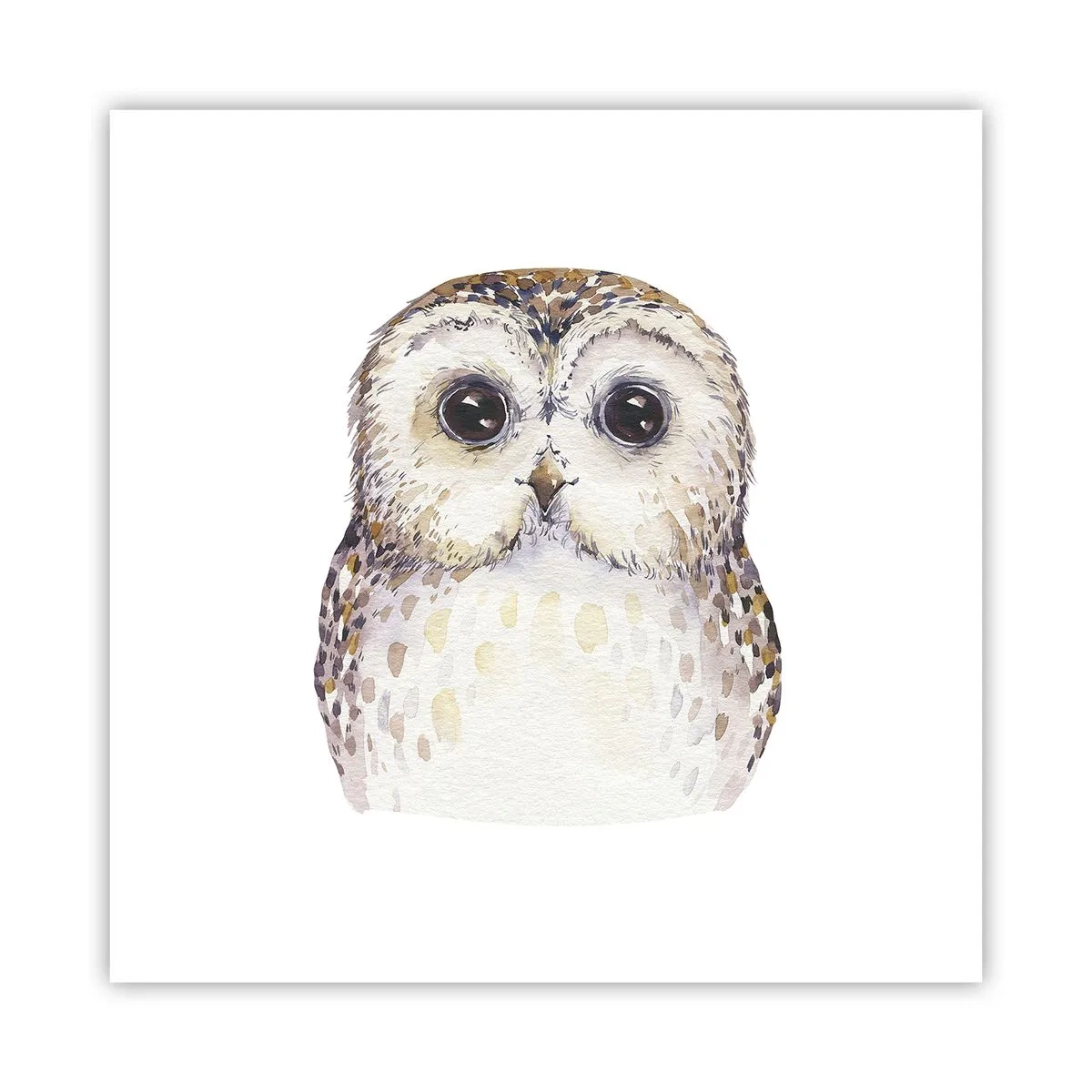 Plagát - Pozri sa mi do očí - 40x40 cm