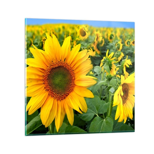 Obraz na skle - Zahoreli stovky sĺnk - 30x30 cm