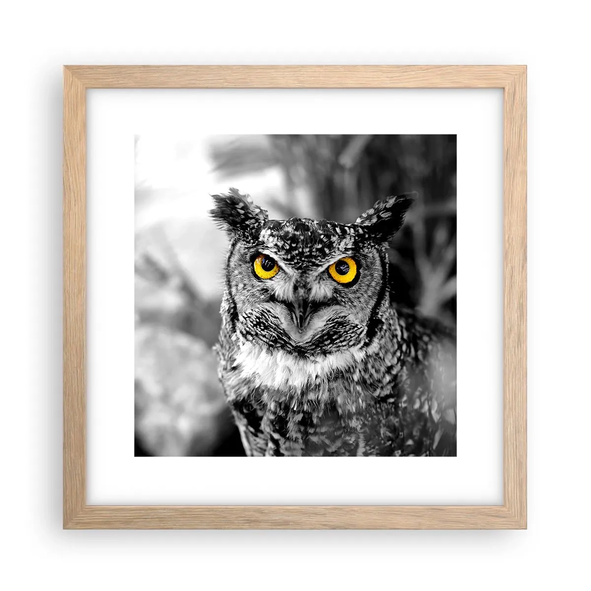 Plagát v ráme zo svetlého duba - Nič sa neschová - 30x30 cm