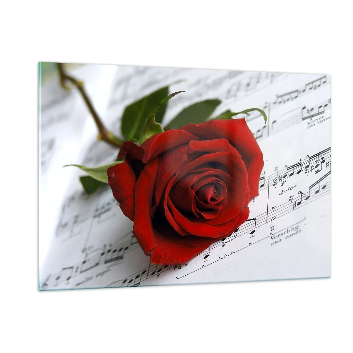 Obraz na skle - Hudba pocitu v šarlátovej - 120x80 cm
