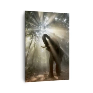 Obraz na plátne - Pod šťastnou hviezdou - 70x100 cm