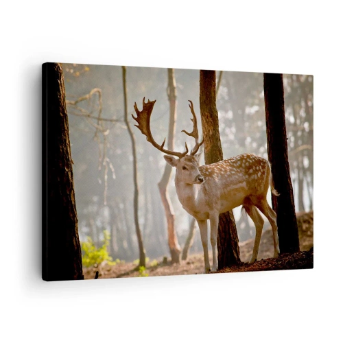 Obraz na plátne - Jeleň v lese v rannej hmle - 70x50cm - Svetlo mladosti - Moderná nástenná dekorácia do obývacej izby a spálne ARTTOR