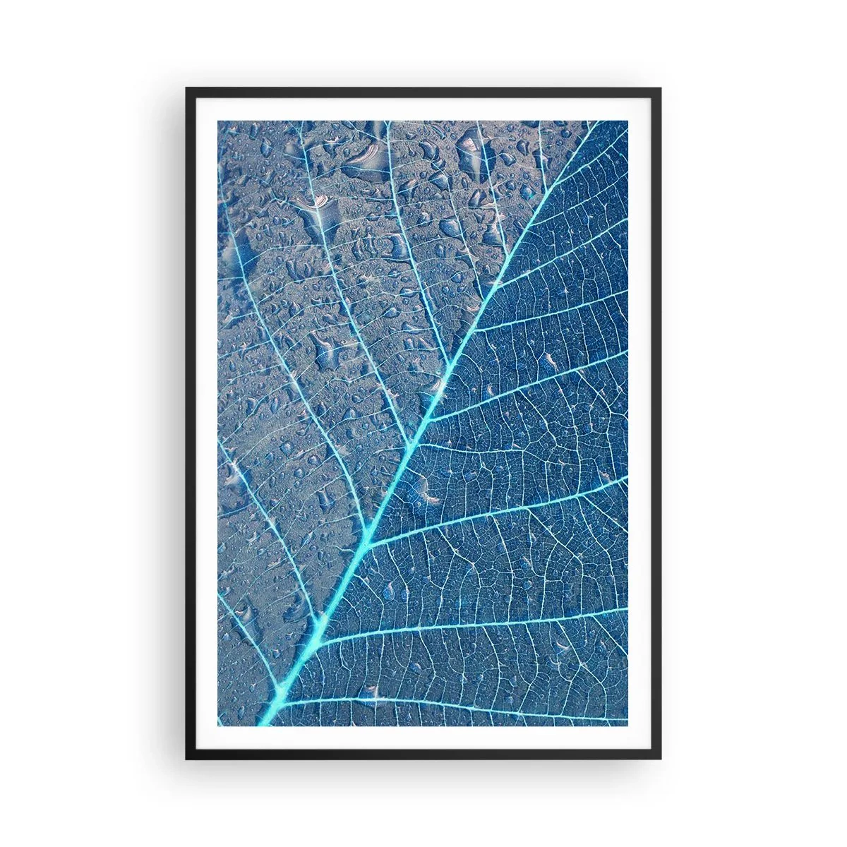 Plagát v čiernom ráme - Modrý život - 70x100 cm