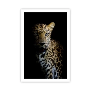 Plagát - Temná krása - 61x91 cm