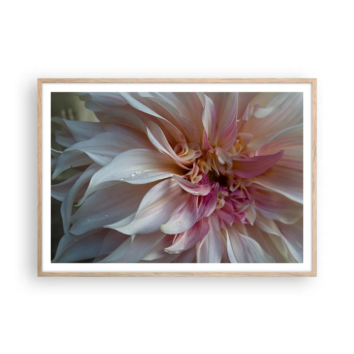 Plagát v ráme zo svetlého duba - Kvitnúca sviežosť - 100x70 cm