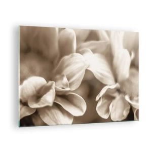 Obraz na skle - Makrofotografia svetlých kvetinových lupeňov v sépiovej farbe - 70x50cm - Nežné ako úsmev - Moderná nástenná dekorácia do obývacej izby a spálne ARTTOR