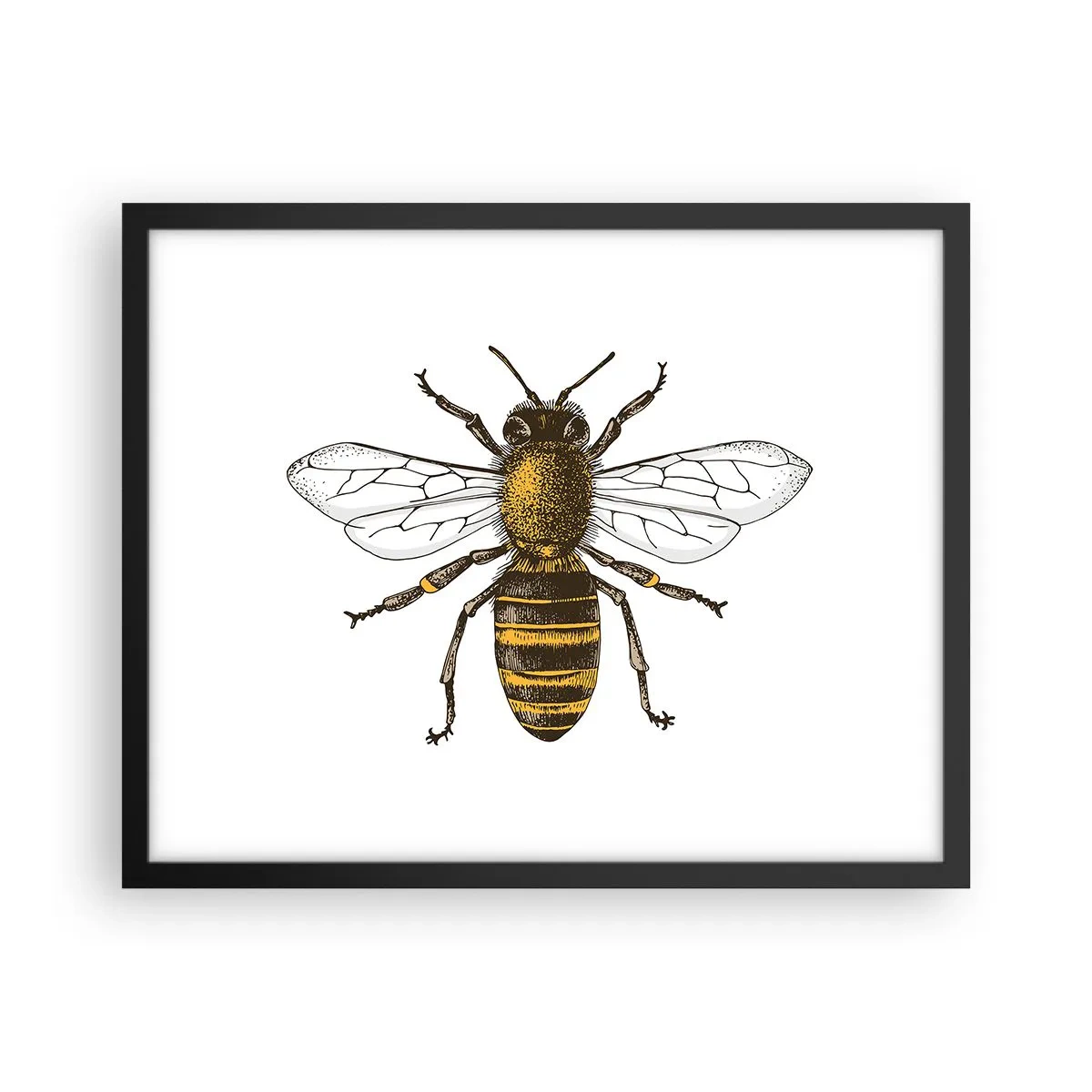 Plagát v čiernom ráme - Krásna a dobrá - 50x40 cm