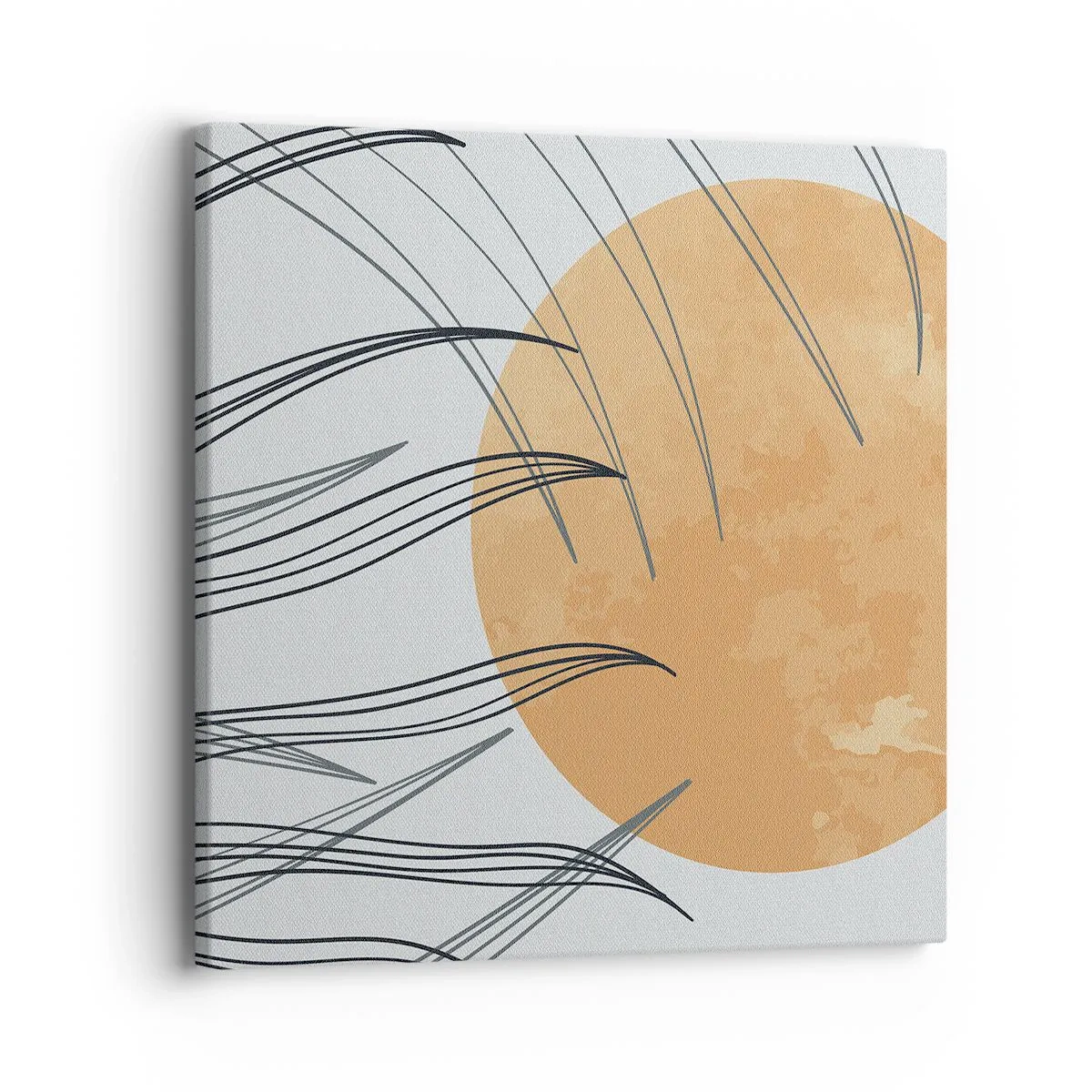 Obraz na plátne - Vždy ku slnku - 40x40 cm