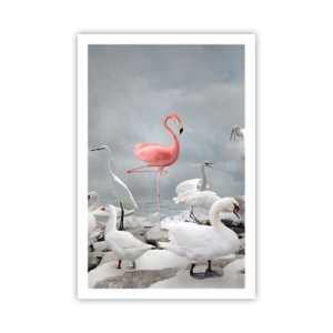 Plagát - Kde som sa tu vzal? - 61x91 cm