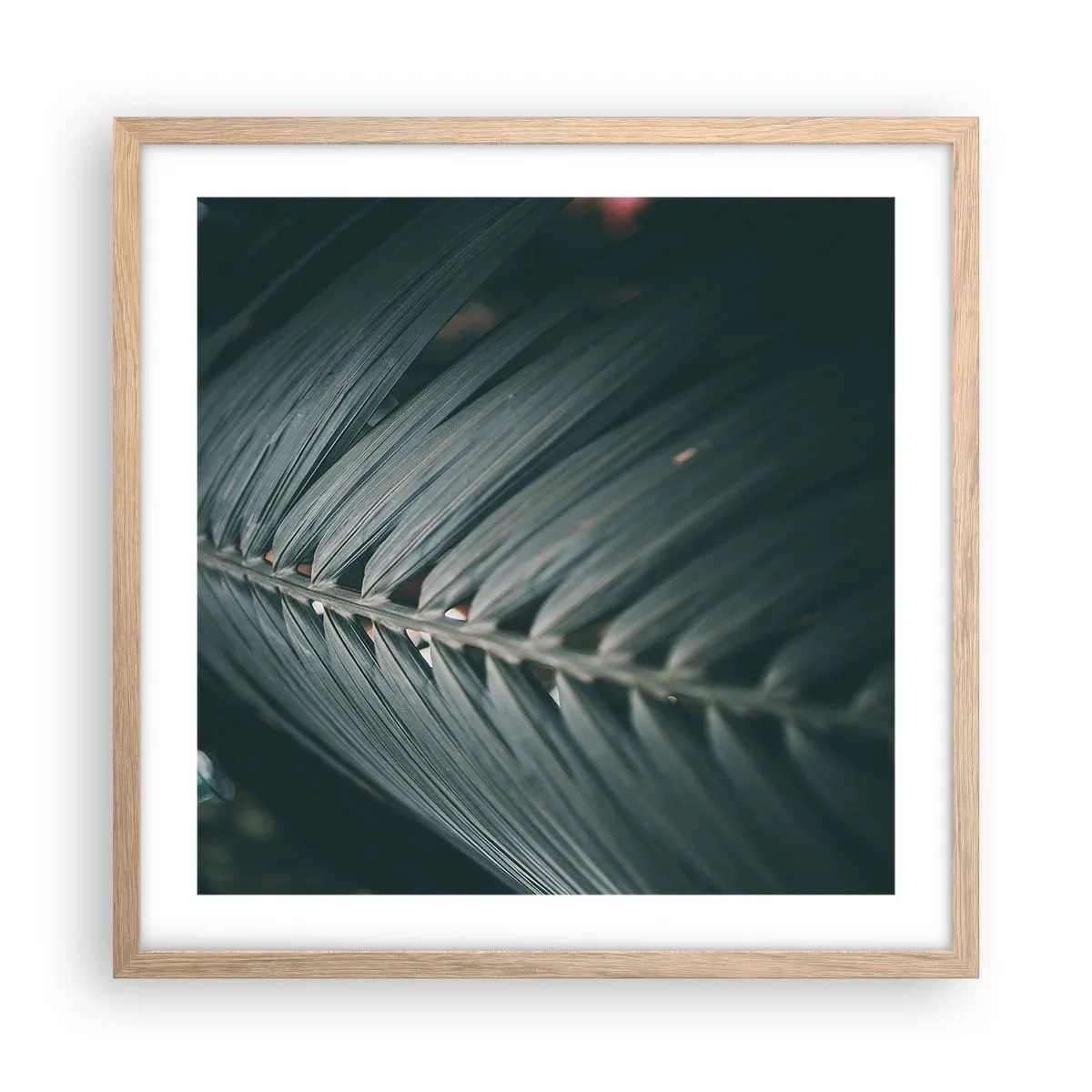 Plagát v ráme zo svetlého duba - Presnosť prírody - 50x50 cm