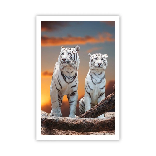 Plagát - Úplne ako v Narnii - 61x91 cm